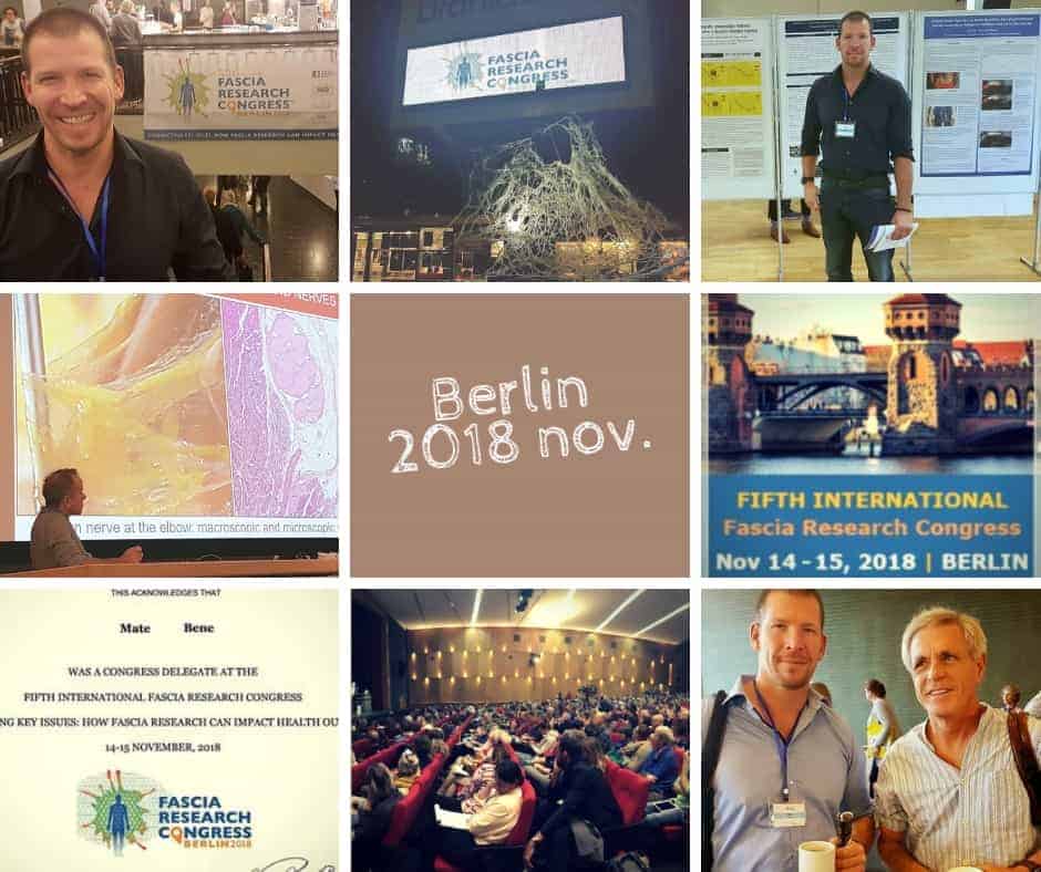 frc2018 Fasciology, tensegrity, ízületek mesterképzés 6