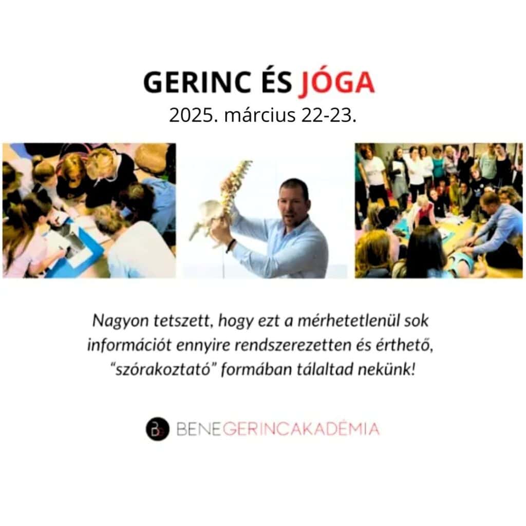 Gerinc és Jóga – alapozó workshop jógaoktatóknak 2