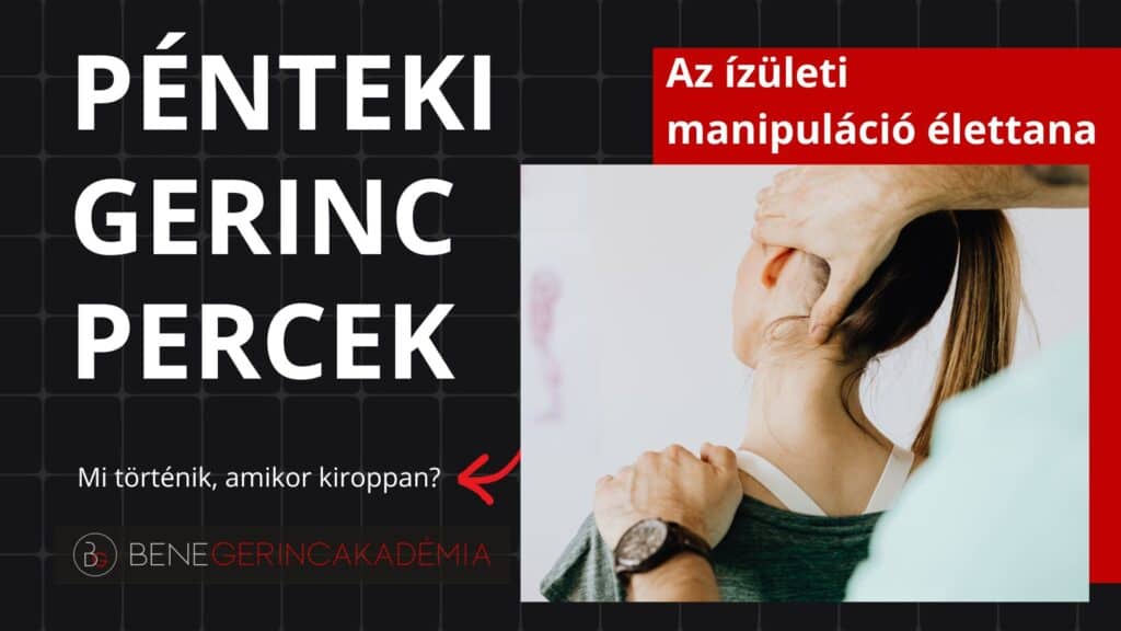 Az ízületi manipuláció élettana 2