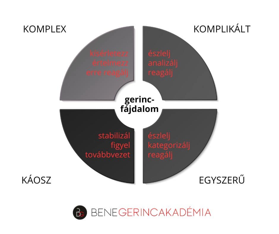 Snowden: Cynefin Framework könyvösszefoglaló 3