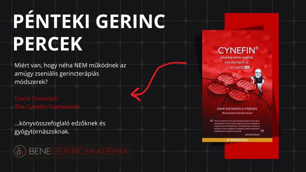 Snowden: Cynefin Framework könyvösszefoglaló 2