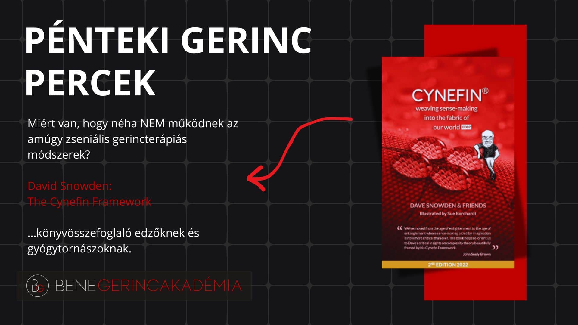 Snowden: Cynefin Framework könyvösszefoglaló 6
