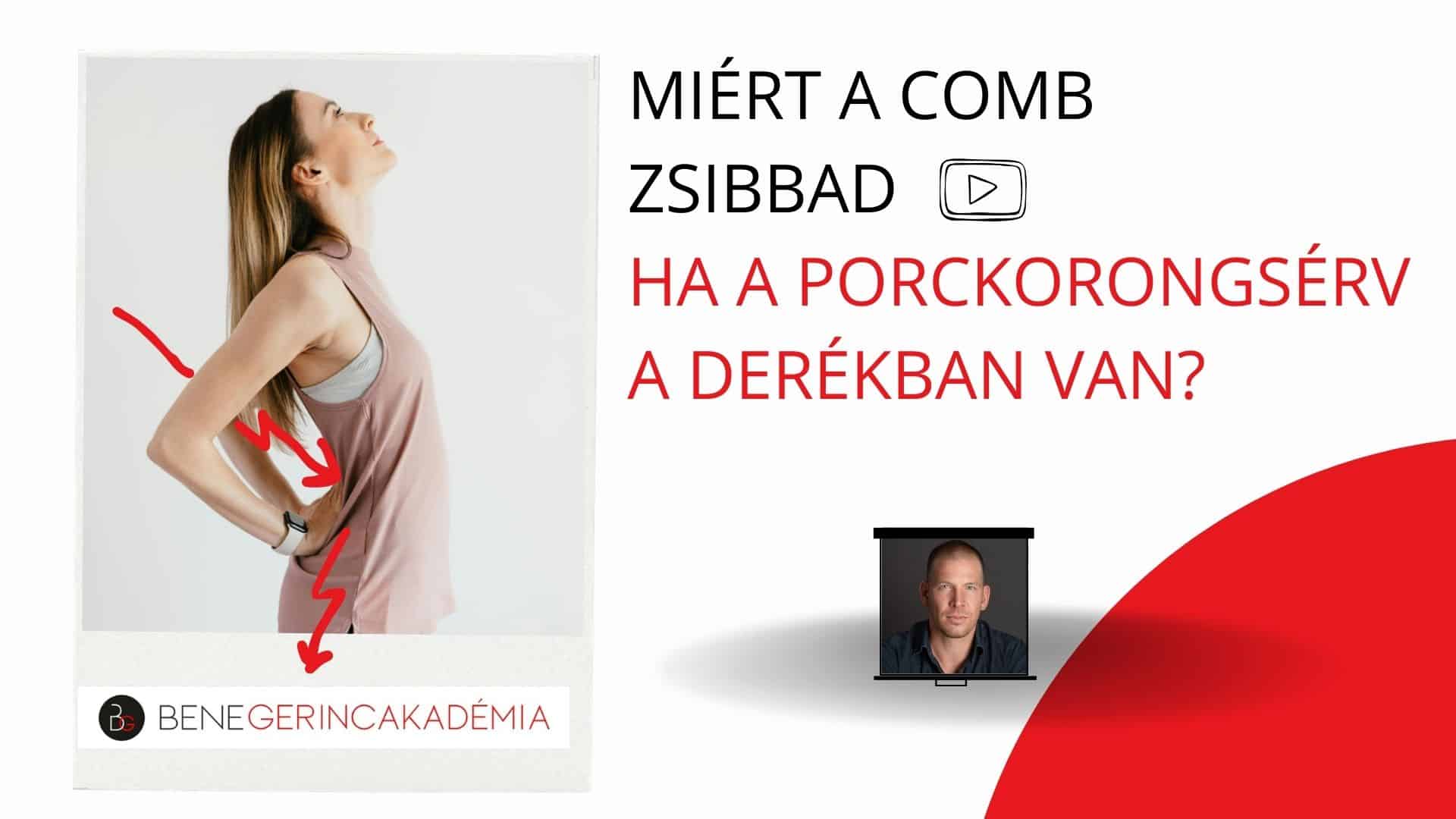 A porckorongsérves combzsibbadás neurológiája ( alapok ) 2